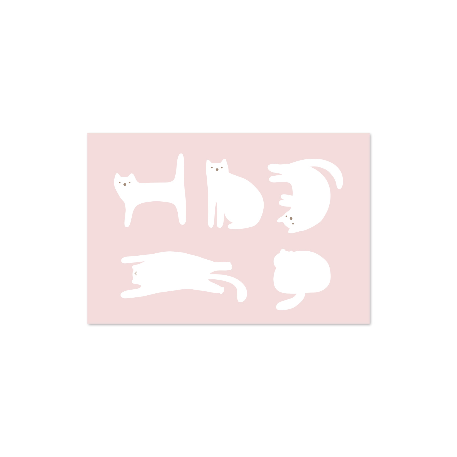 피터 고양이 핑크 엽서 / PETER CAT PINK POSTCARD